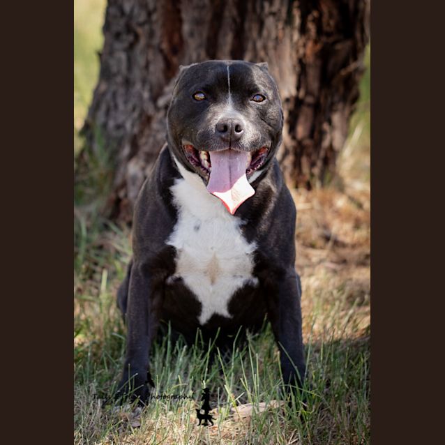Photo of Max