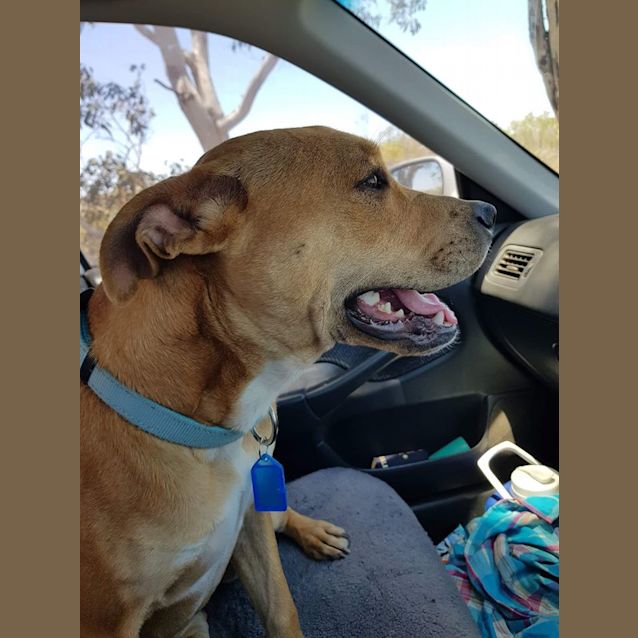 Photo of Sadie Dl2310