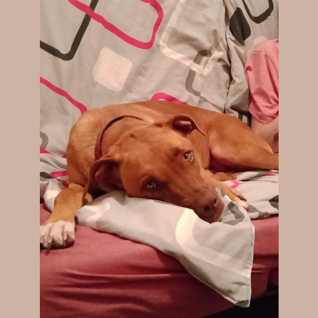 Photo of Prudence Db239