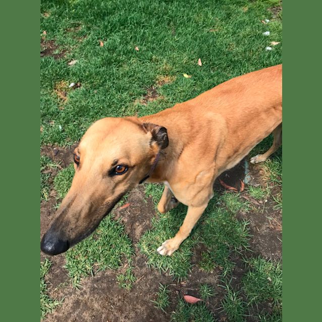 Photo of Jezzie