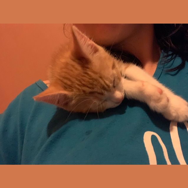Photo of Dumpling 