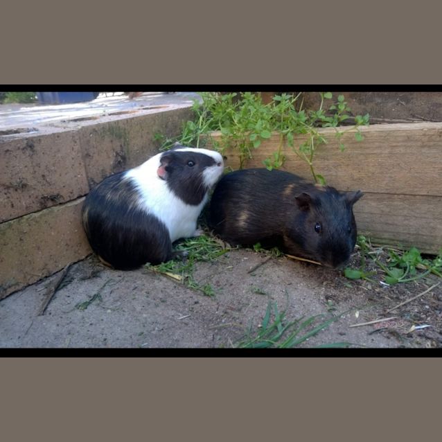 Photo of Wasabi And Tadashi 