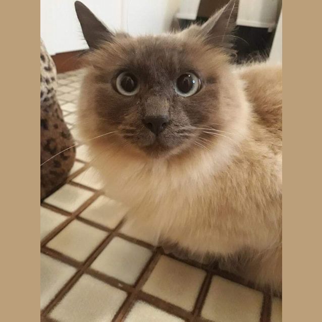 Photo of Cloudy 