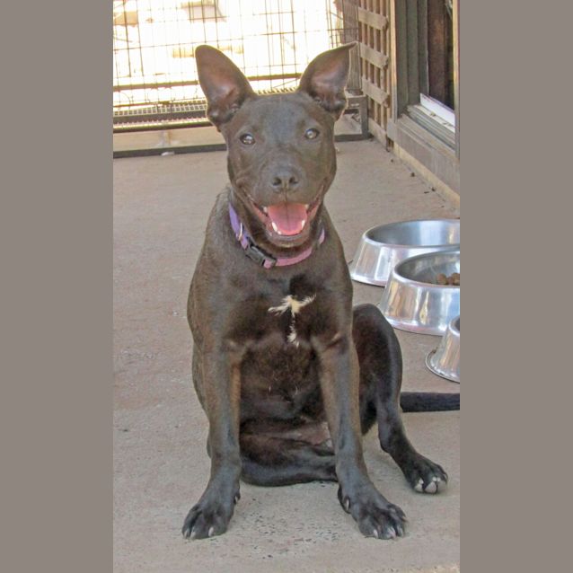 Photo of Stella Bella