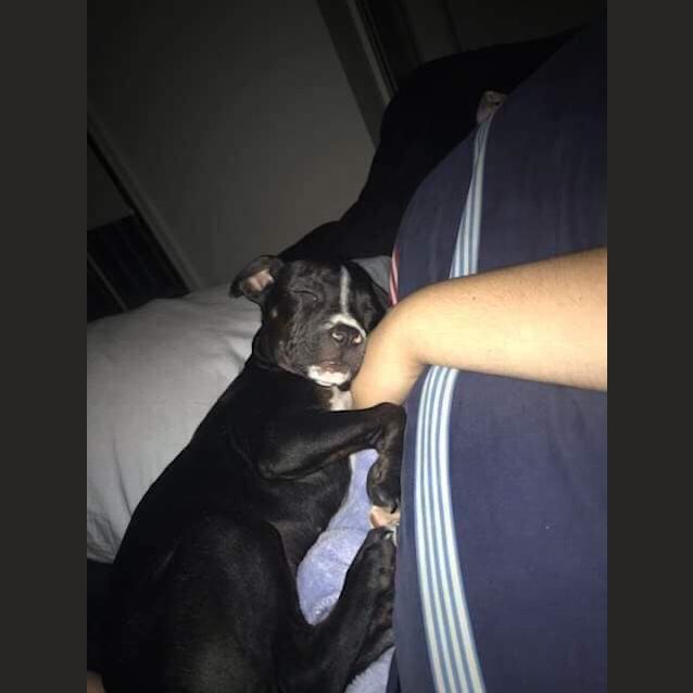 Photo of Buddy