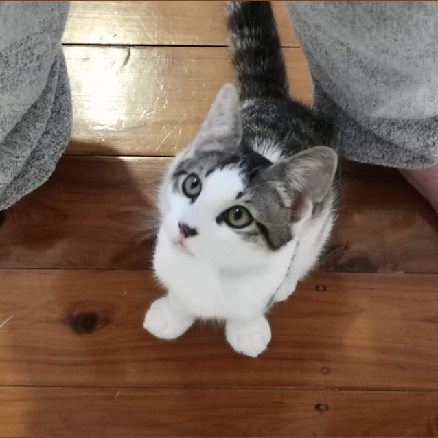 Photo of Oscar & Mika