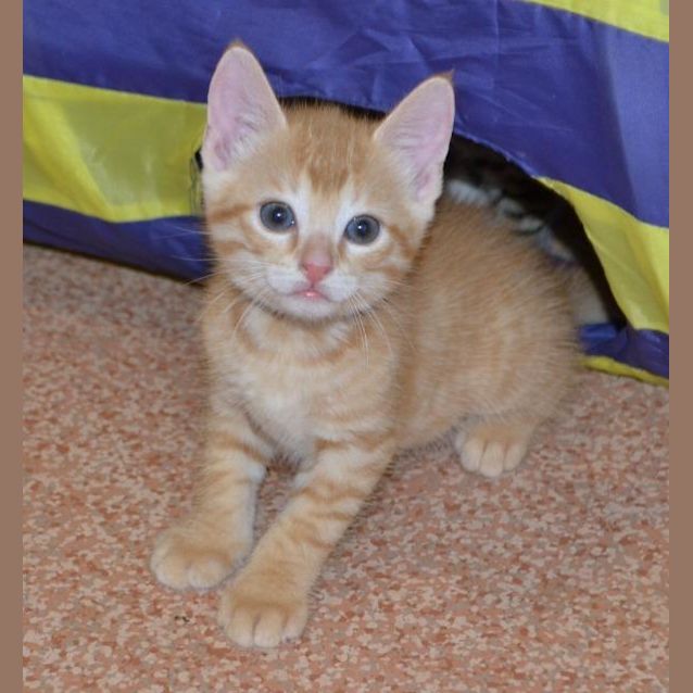 Photo of Reggie