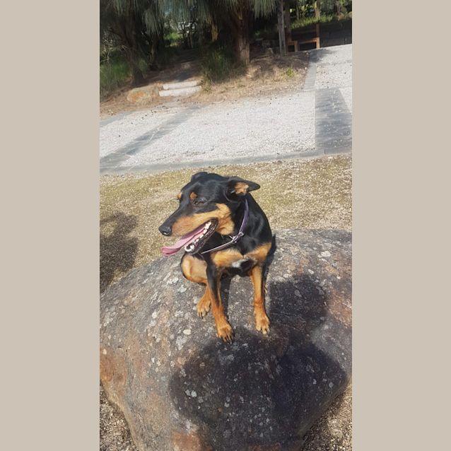 Photo of Bonnie