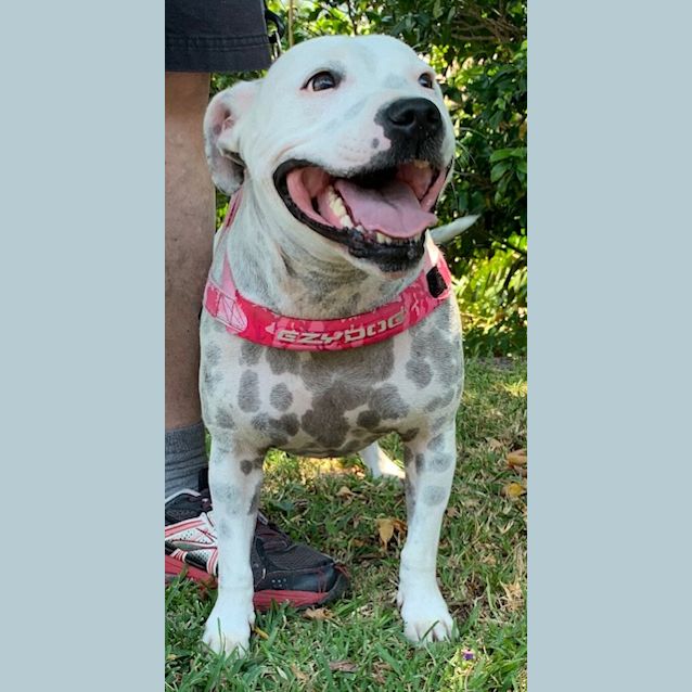 Photo of Bonnie