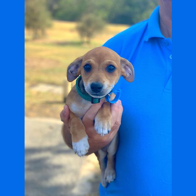 Photo of Frankie  