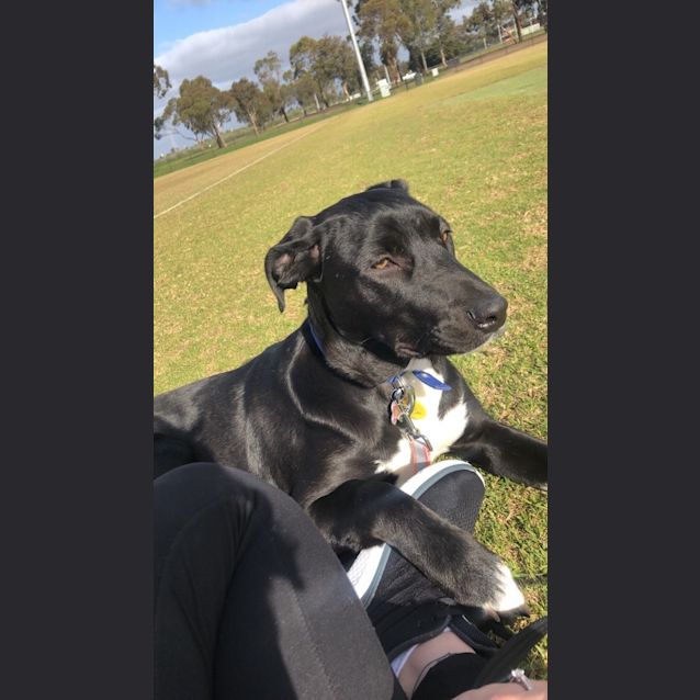Photo of Holly