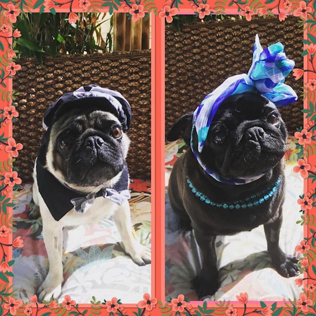 Photo of Johnson And Whittney