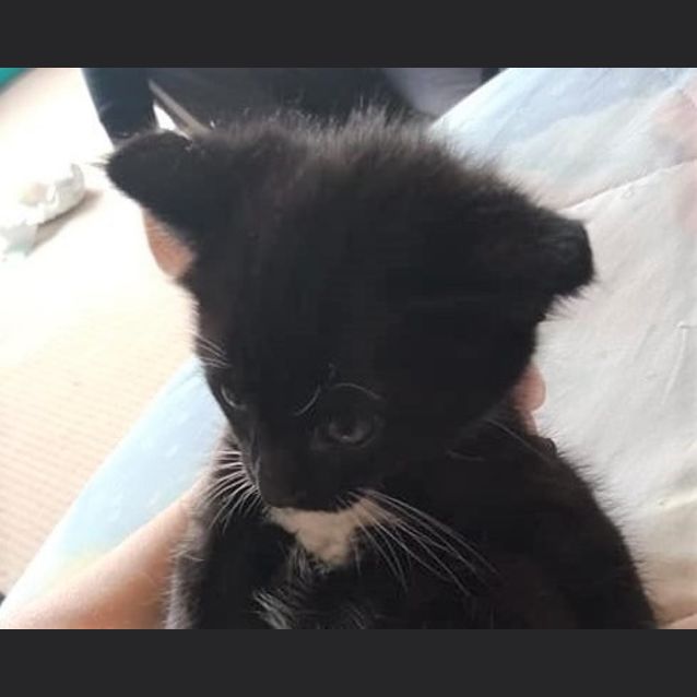 Photo of Tuddenham Mayne