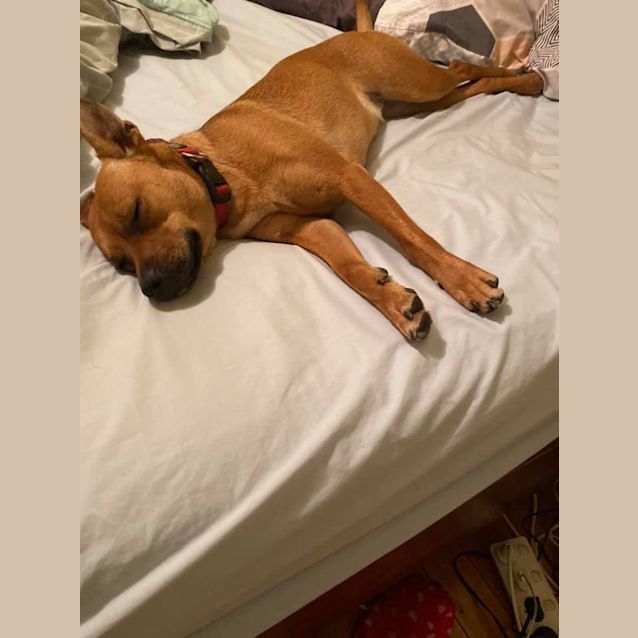 Photo of Lucy