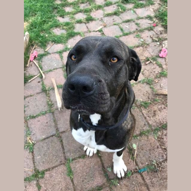 Photo of Miss Brindlelyn