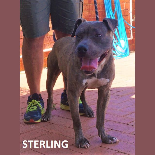 Photo of Sterling