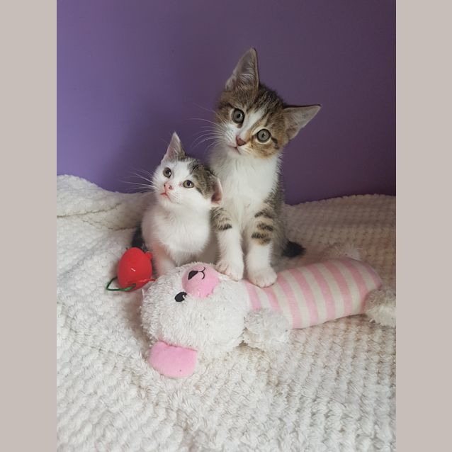 Photo of Eve & Paris ❤❤