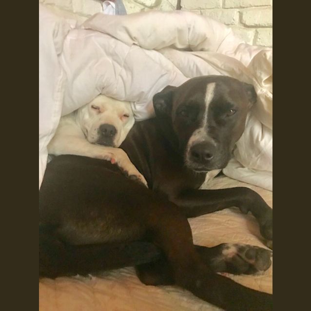 Photo of Genna ( Jenny )