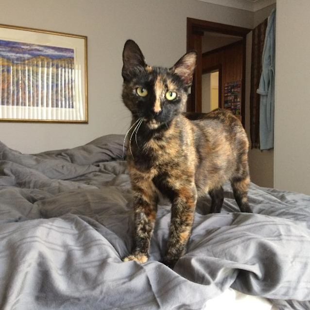 Photo of Carla