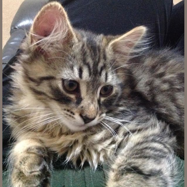 Photo of Churro