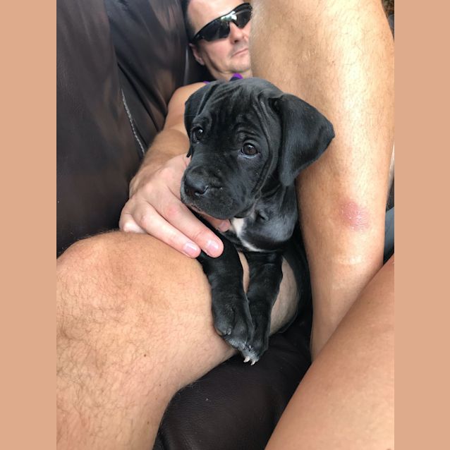 Photo of Isla 