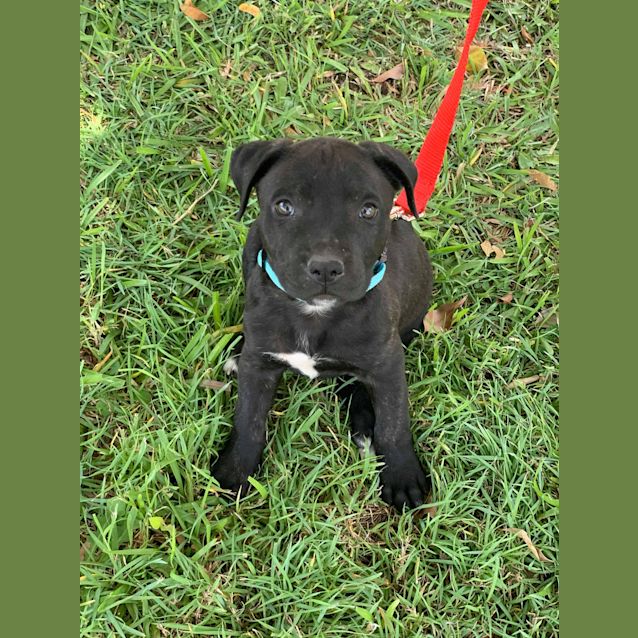 Photo of Archer 