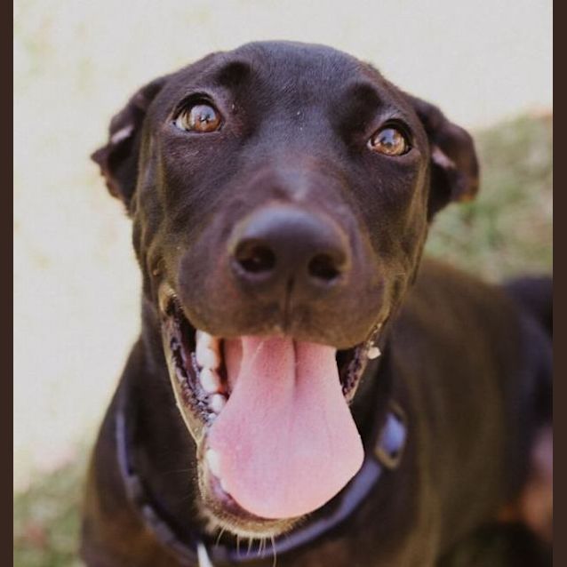 Photo of Maggie May