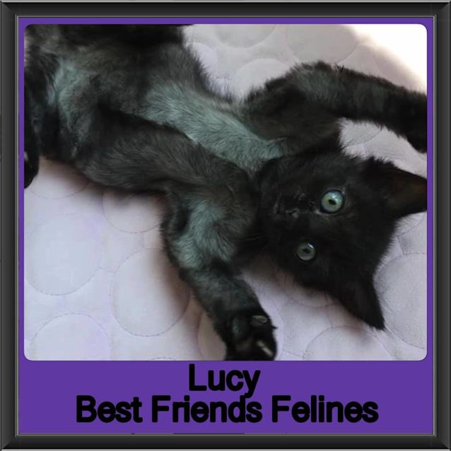 Photo of Lucy