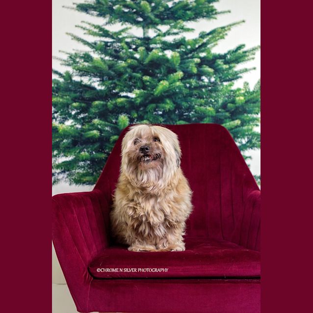 Photo of Dakota And Cooper 