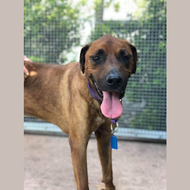 Photo of Jabba Dl2315