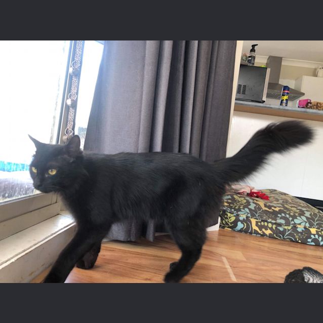 Photo of Zenki