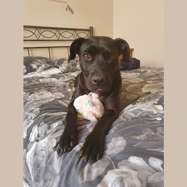 Photo of Layla D0107