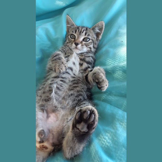 Photo of Monty 