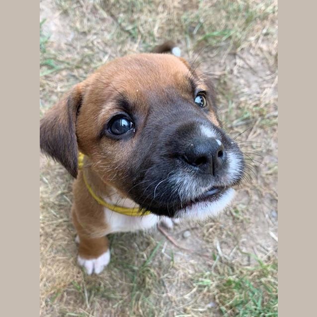 Photo of Honey 