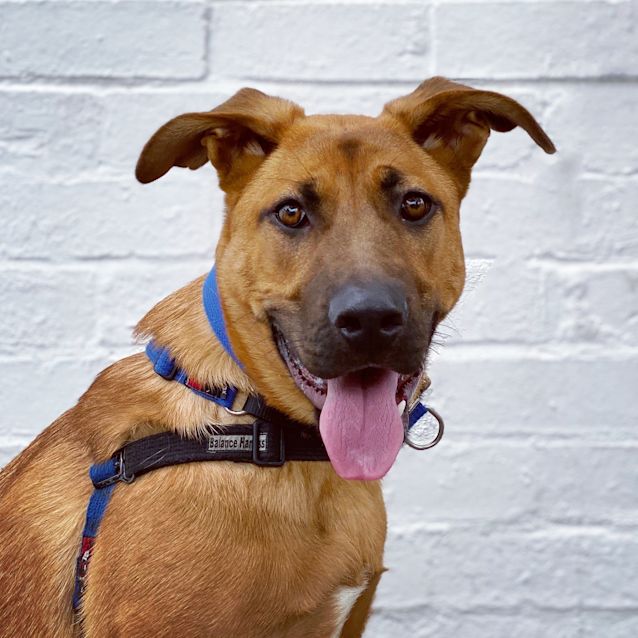 Photo of Jasper