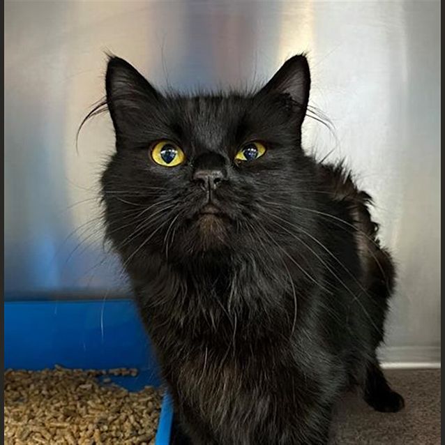 Photo of Merri