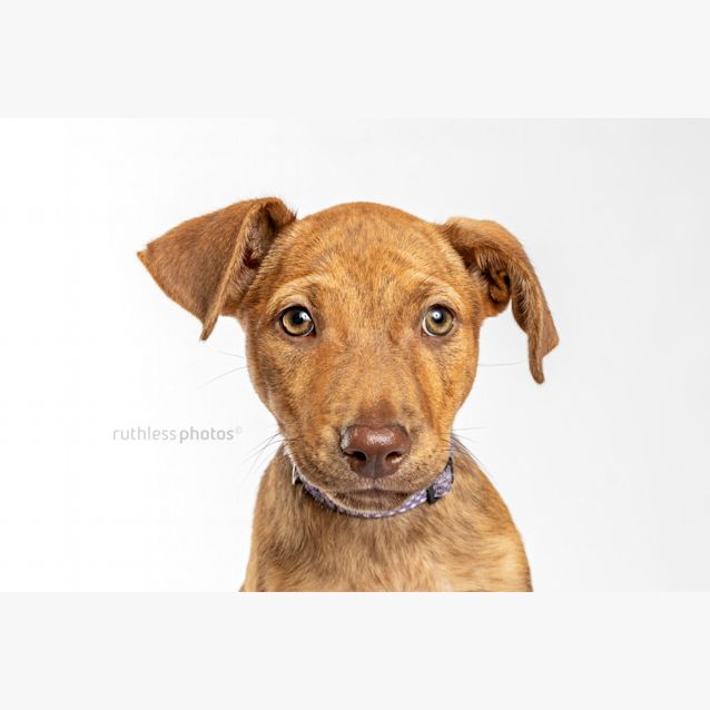 Photo of Laki