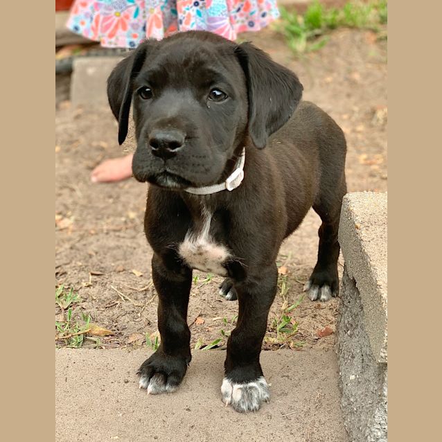 Photo of Barney 🦒