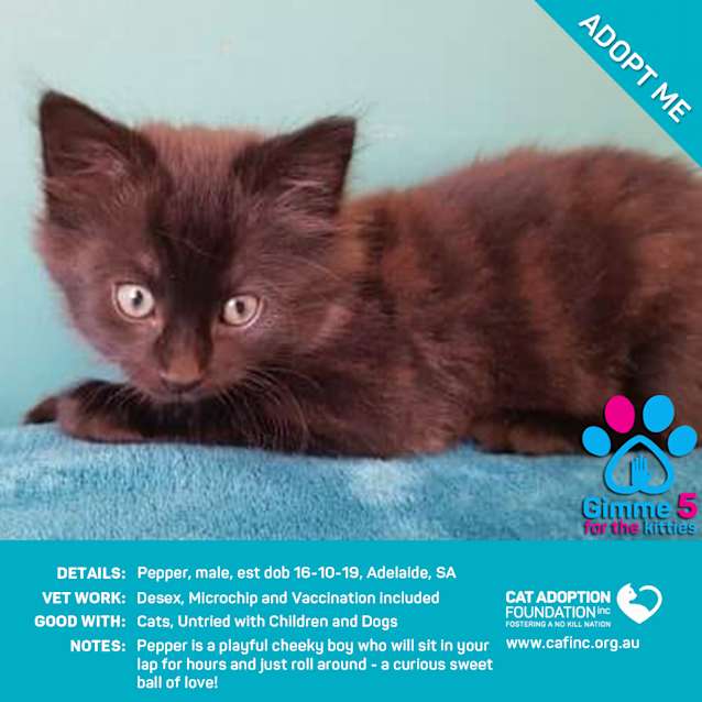Photo of Pepper