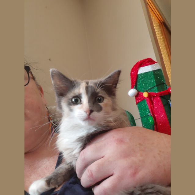 Photo of Peggy