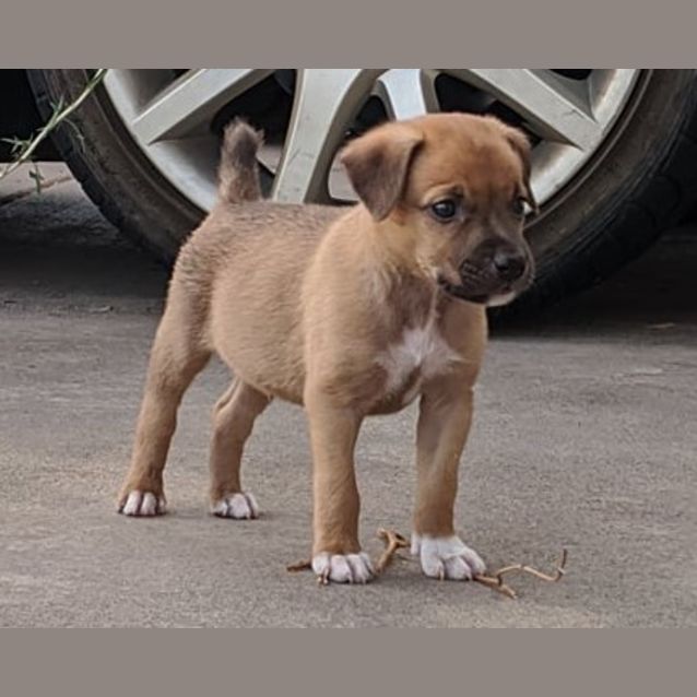 Photo of Echo
