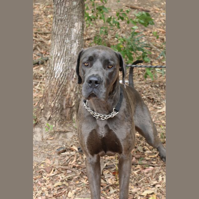 Photo of Reggie