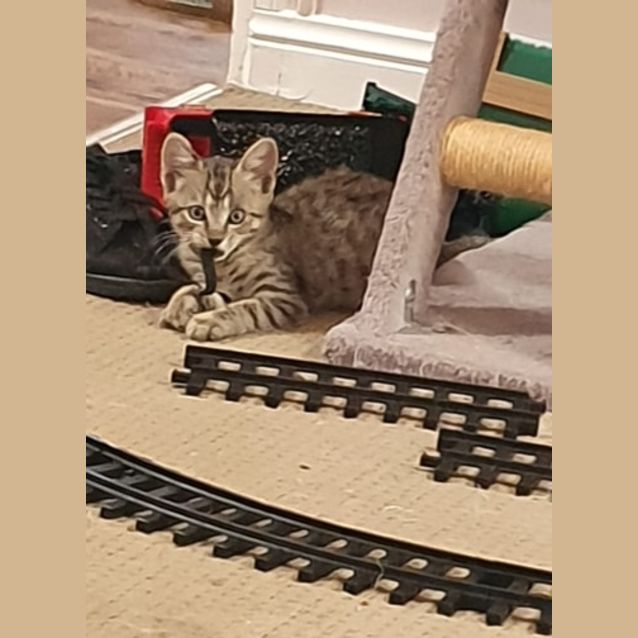 Photo of Charm