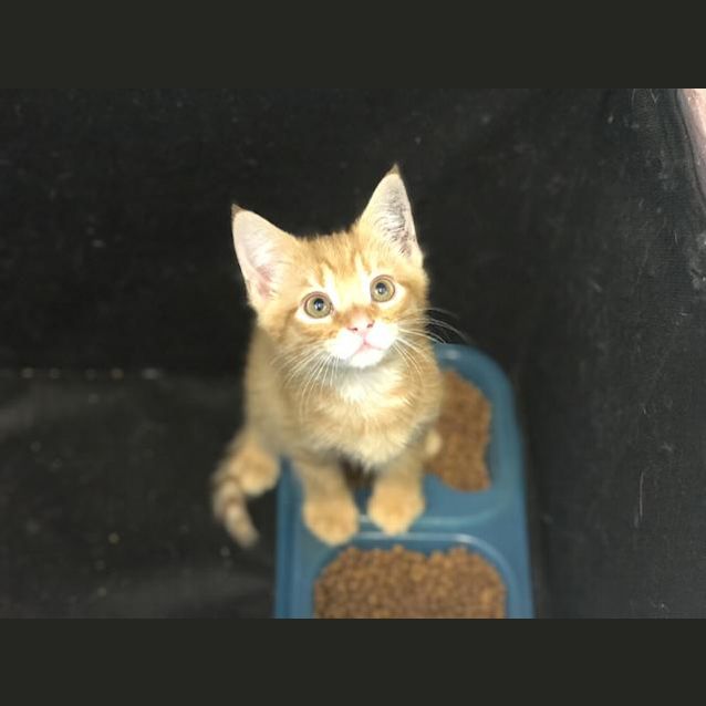 Photo of Milko