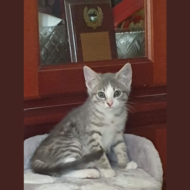 Photo of Lexi 