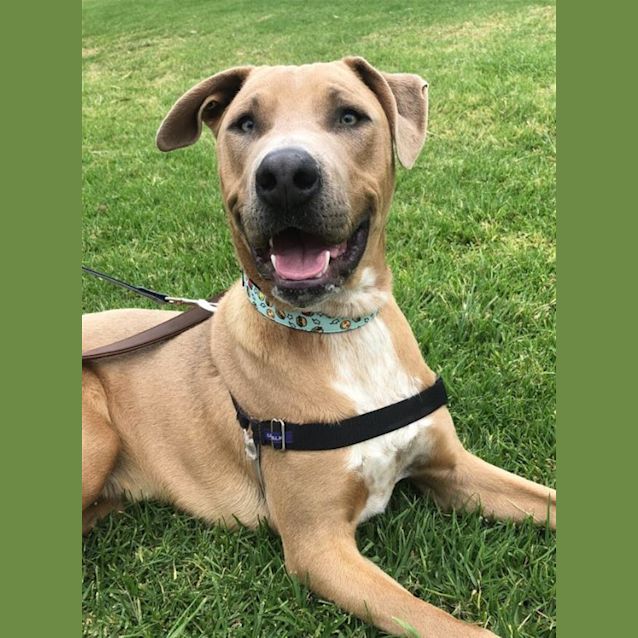 Photo of Jimmy (Now Archer)