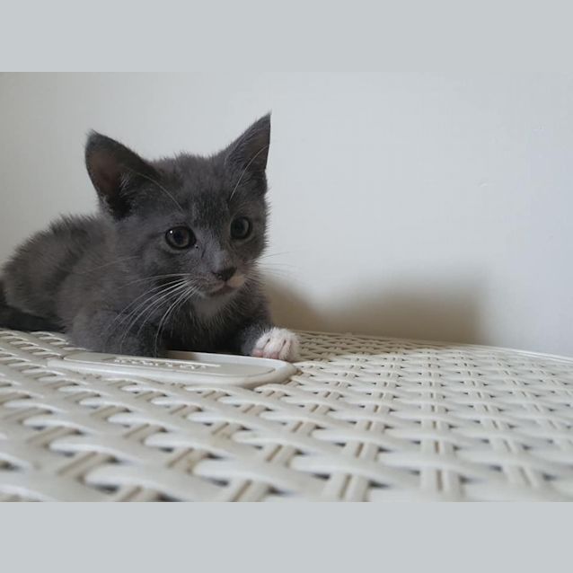 Photo of Rorie 