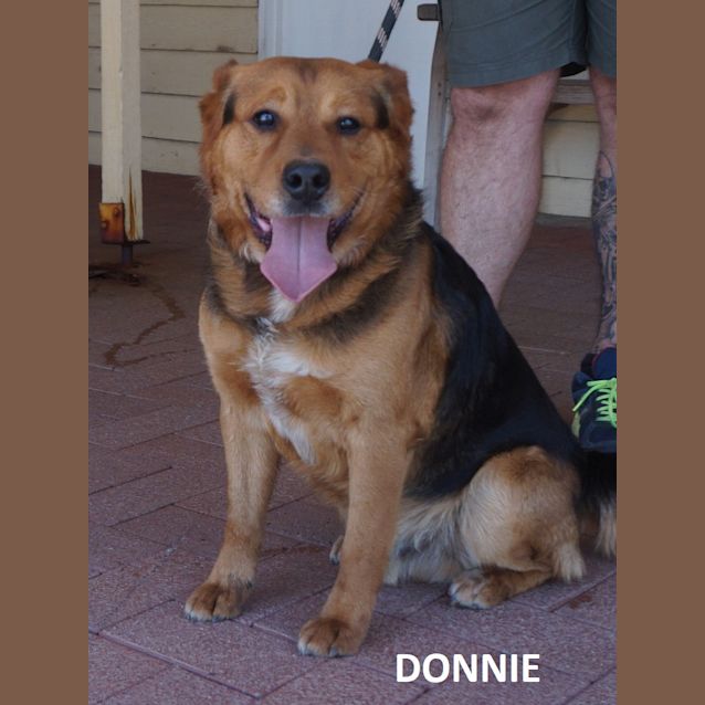 Photo of Donnie