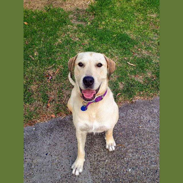 Photo of Sandy 