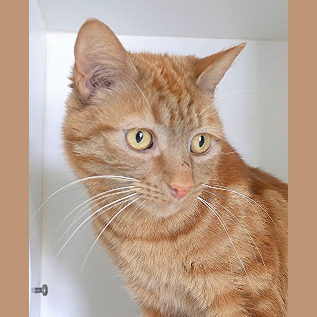 Photo of Dexy Sua004661